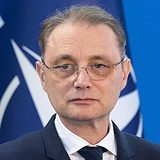 Luca-Alexandru Niculescu